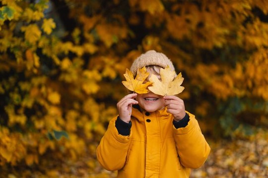 Délicieux paquet d'automne