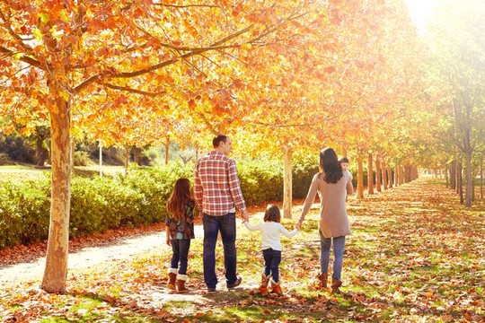 Herfstactiviteiten in Gent