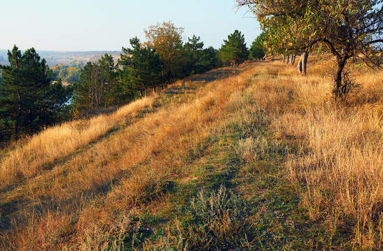 Bourgoyen-Ossemeers nature reserve